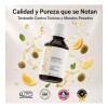 Zinzino | Essentoil+ | Omega 3 Y Vitamina D3 |