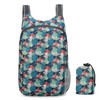 Ultralight Folding Backpack, Waterproof, Ultralight Backpack, Travel Backpack, Small Hiking