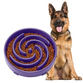 JASGOOD Slow Feeder Bowl for Large Dogs, Anti-Gulping Pet Bowl, Prevents Bloat & Choking