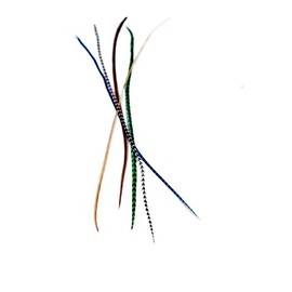 Real Feather Hair Extensions - forest (5 Feathers)