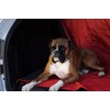 DOWN UNDER OUTDOORS Large Waterproof Windproof Extra Thick 350 GSM
