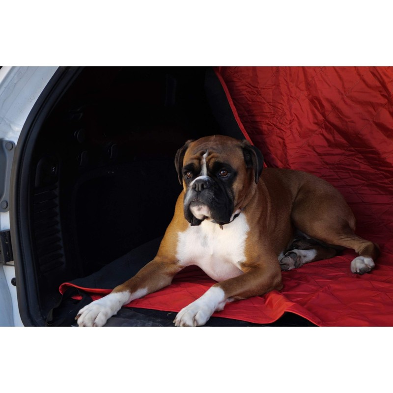 DOWN UNDER OUTDOORS Large Waterproof Windproof Extra Thick 350 GSM