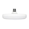 HPM 19W LED Warm White T Shape B22 Globe