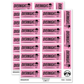 Overnight Mail Service Expedited Running Person Sticker Pack - Gloss Finish - Large 2.00" Size - Light Pink
