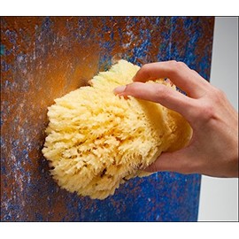 Aphrodite Natural Painting Sponges - Artist Paint Sponges Made of Natural Fibers Harvested in Greece Contaminate Free - [Value Pack #6 | Eight Natural Sponges]