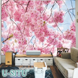 U-SITU Tapestry Full Bloom Cherry Blossoms Natural Scenery Stylish Background Multifunctional Cloth Poster Wall Hanging Wall Decor Interior Atmosphere Change (Width 150 x Length 100 cm) Color: