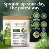 Sproote Soursop Capsules | 15,000mg High Strength Graviola Extract |