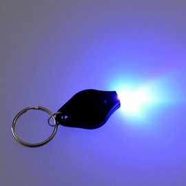 MACHSWON 10PCS Mini Keychain Torches Flashlight UV Money Checker Key-Chain LED Money Detector Light Key Ring Light Torch Black