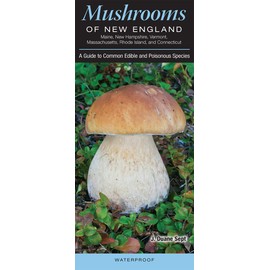 Mushrooms of New England Maine, New Hampshire, Vermont, Massachusetts, Rhode Island, and Connecticut, A Guide to Common Edible and Poisonous Species