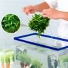 10 PCS Aquarium Moss Mesh, 304 Stainless Steel, 8 *