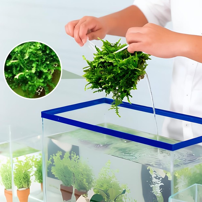 10 PCS Aquarium Moss Mesh, 304 Stainless Steel, 8 *