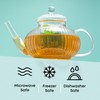 JoyJolt Fluted Glass Teapot Set 33.8oz w/Double Wall Glasses 13.5oz,