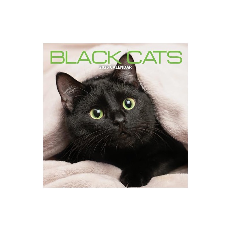 Black Cat 2025 Calendar