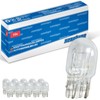 XENOHYPE 10x W21/5W Premium W3x16q 12V Glass Base Lamps