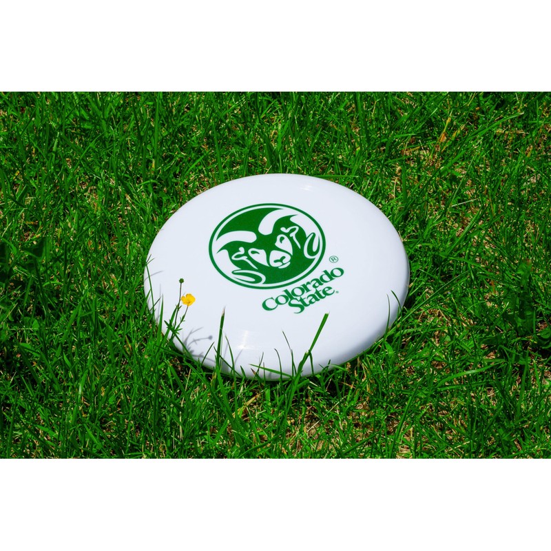 Miami Florida Design B Souvenir Flying Disc Single