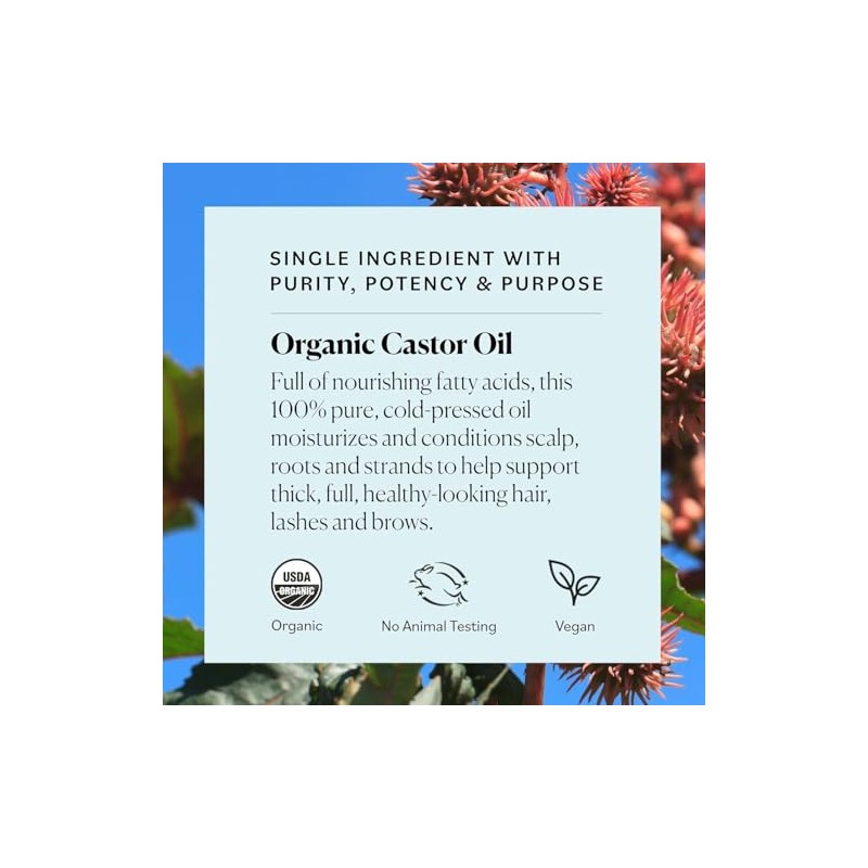 Aceite de Ricino Parent