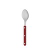Trinice Sabre Paris Bistro Shiny Cutlery Dinner Spoon / 트리니체