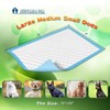 NEZO Dog and Puppy Training Pads, X-Large 30x36 inches 150