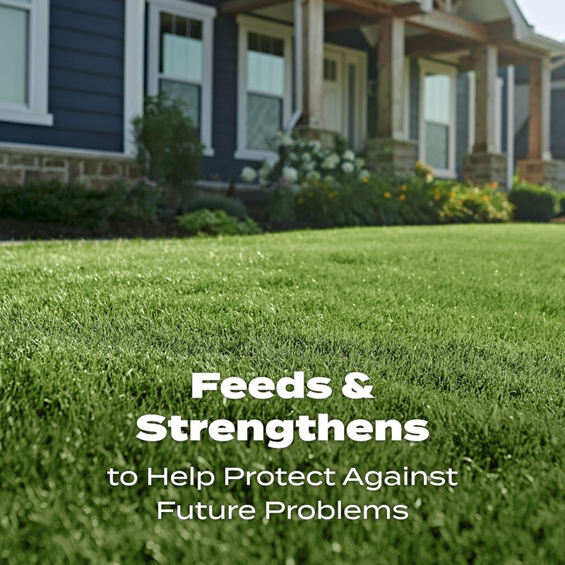 Scotts Turf Builder Lawn Food - Fertilizer for All Grass