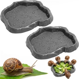 2 Pack Snail Food and Water Bowl, Pet Snail Feeder, Small Reptile Food Dish Bowl Calcium Dish for Land Snails Mini Lizard Gecko Bearded Dragon Chameleon and Hermit Crab (Cement Gray)