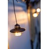 Barebones Living LED Edison Pendant Light