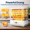 VIVOHOME Electric 8 Trays Food Dehydrator, 400W Hydrator Machine with