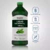 Piping Rock Chlorophyll Liquid Drops 100mg | 16 oz |
