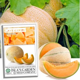 Delicious 51" Cantaloupe Seeds for Planting, 50+ Heirloom Melon Seeds Per Packet, (Isla's Garden Seeds), Non GMO Seeds, Botanical Name: Cucumis melo VAR. cantalupensis, Great Gift for a Home Garden