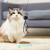 2 Pcs Cat Toys, Cat Interactive Toys for Indoor Cats,