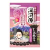 Good Hot Water Traveling Fujimi Nigori-yu no Yado 12 Packs,