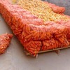 55 lb Vegetable net Bag 5, 18 "x 30" Onion