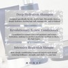 Renew™ Hydrating Hair Care System - Shampoo, Conditioner, and Masque