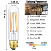 Dimmable T10 LED Bulb 8W Equal E26 Edison Bulb 75