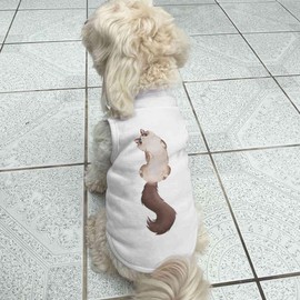 Azeeda 'Fluffy Ragdoll Cat' Pet Dog/Cat T-Shirt, M (PT00085778)