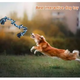 Generic 2 Foot Dog Rope Toys for Aggressive Chewers Dog 5 Knots Indestructible Cotton Rope for Medium Dogs, Blue and White