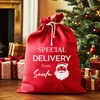 The Gift Project Special Delivery From Santa - Christmas Santa