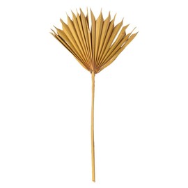 Vickerman 720165-13.75-19.5" Aspn Gld Palm Sun Spr 12/bg (H7PSS725) Dried and Preserved Palms