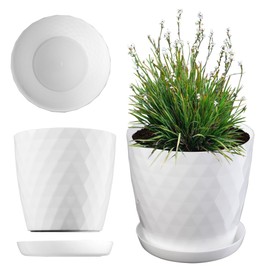 KADAX flower pot, a pot for flowers and plants with saucer, planter light and durable material a decorative pot for plants (13 cm, white)