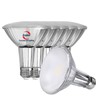 Explux Classic Full Glass LED PAR30 Flood Light Bulbs, 75W