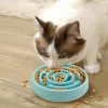 Facdiary Slow Feeder Dog Bowls Puzzle Dog Bowl with Anti-Slip