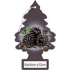 Little Trees BlackBerry Clove 24 Pack