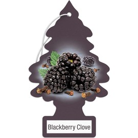 Little Trees BlackBerry Clove 24 Pack