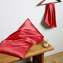 THXSILK 22 Momme Silk Cushion Cover, Mulberry Silk Pillowcases, Hypoallergenic with Zip Silk Pillowcase, Pure Silk on Both Sides, Red, 40 x 60 cm