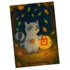 Mr. & Mrs. Panda Postcard Raccoon Lantern Design White