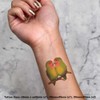 4 x 'Lovebirds Cuddling' Temporary Tattoos - Water Resistant, Skin-Safe,