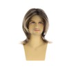 Sallcks Mens Blonde Brown Long Straight Synthetic Natural Looking Costume