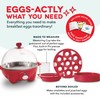 DASH Rapid Egg Cooker: 7 Egg Capacity Electric Egg Cooker