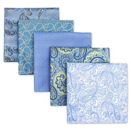 Shlax&Wing 5 Pieces Assorted Pañuelo De Bolsillo Para Hombre Handkerchiefs Set