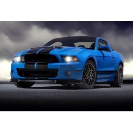 BASF Touch Up Paint for Ford Mustang with paint code CI, Grabber Blue.  FREE SHIPPING