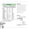 Nutra Organics Clean Greens Straight Up Greens 200g | Superfood